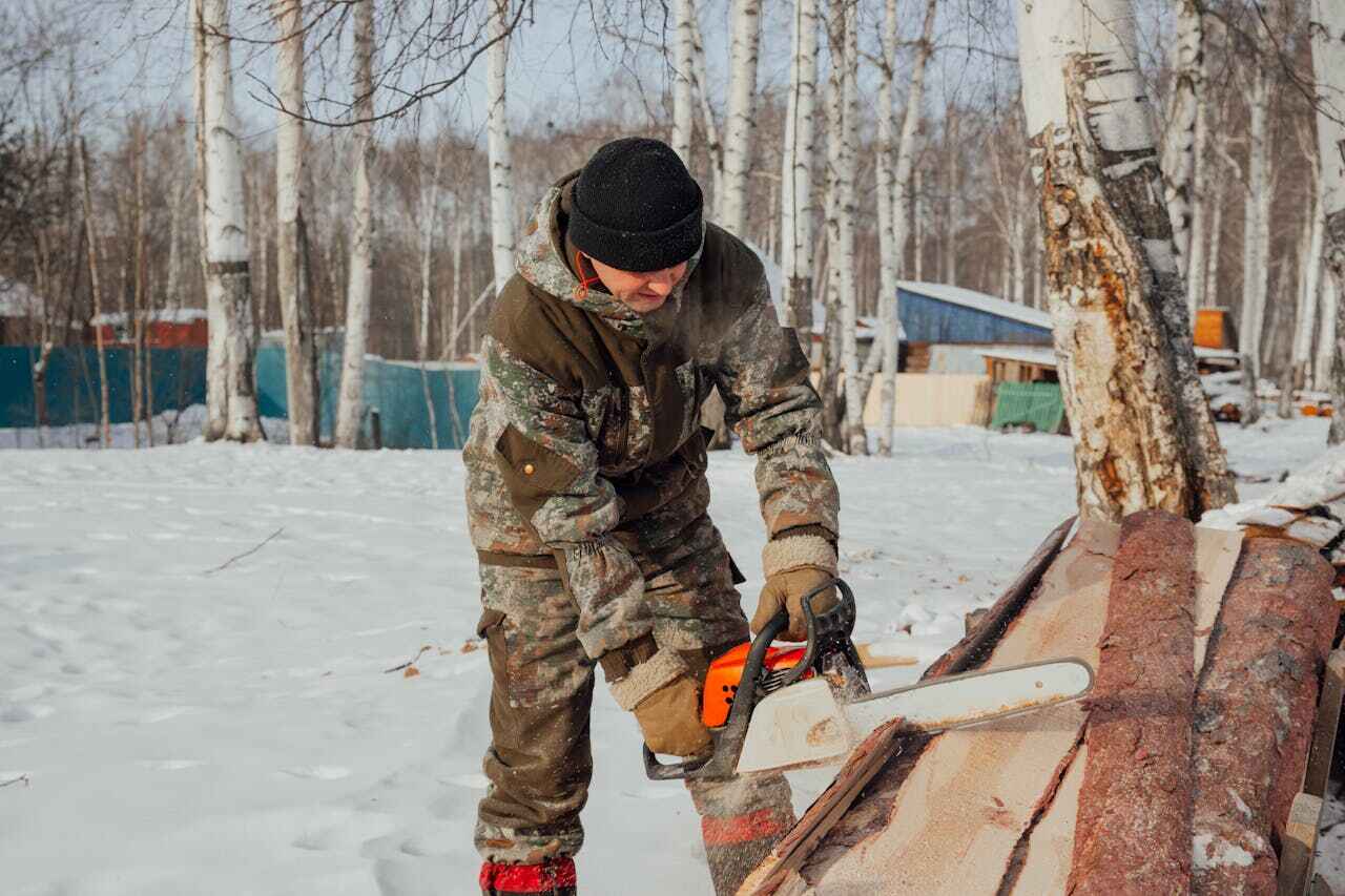 Residential Tree Removal